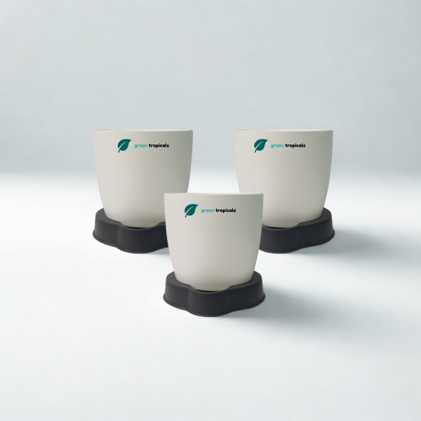 Self Watering Planter, 4.5 Inch, Indoor Plant Pot with Water Saver Base, Set of 3 (White)