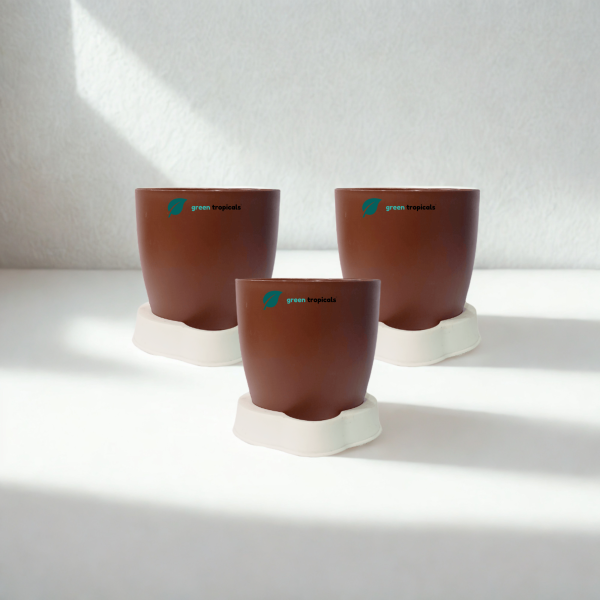 Self Watering Planter, 4.5 Inch, Indoor Plant Pot with Water Saver Base, Set of 3 (Coffee)