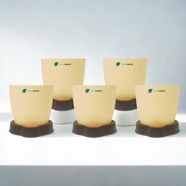 Self Watering Planter, 4.5 Inch, Indoor Plant Pot with Water Saver Base, Set of 5 (Ivory)