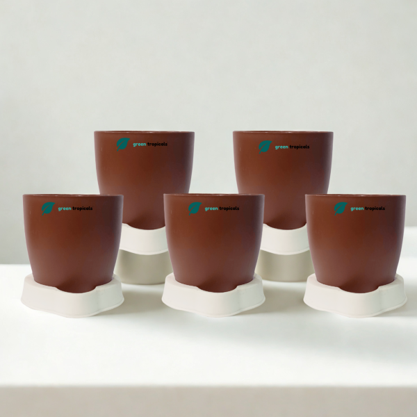 Self Watering Planter, 4.5 Inch, Indoor Plant Pot with Water Saver Base, Set of 5 (Coffee)