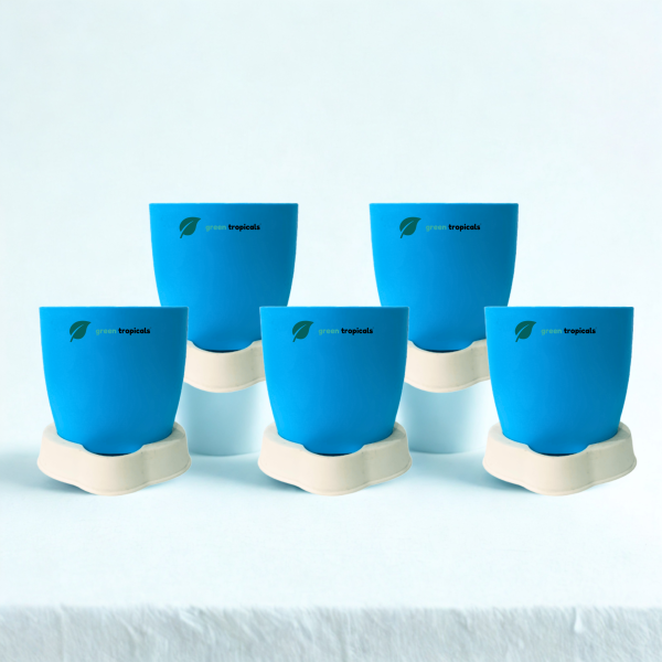 Self Watering Planter, 4.5 Inch, Indoor Plant Pot with Water Saver Base, Set of 5 (Turquoise)