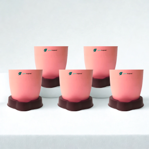 Self Watering Planter, 4.5 Inch, Indoor Plant Pot with Water Saver Base, Set of 5 (Peach)